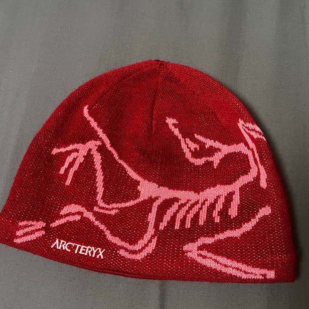 아크테릭스 토크 보르도 비니 