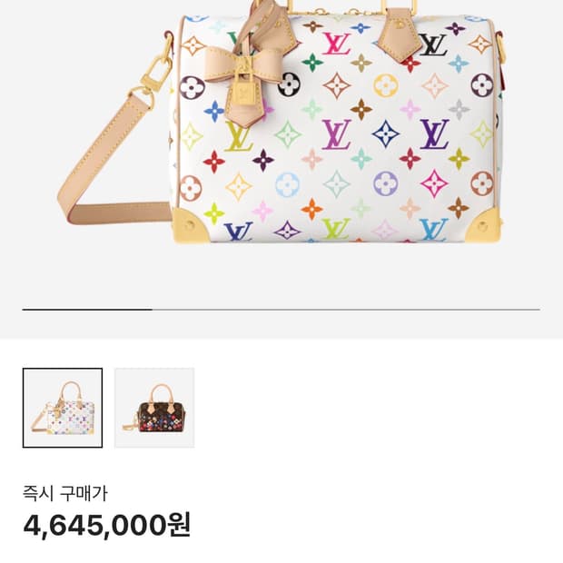 루이비통 무라카미 스피디25