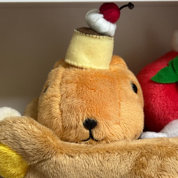 기본 카피바라상!