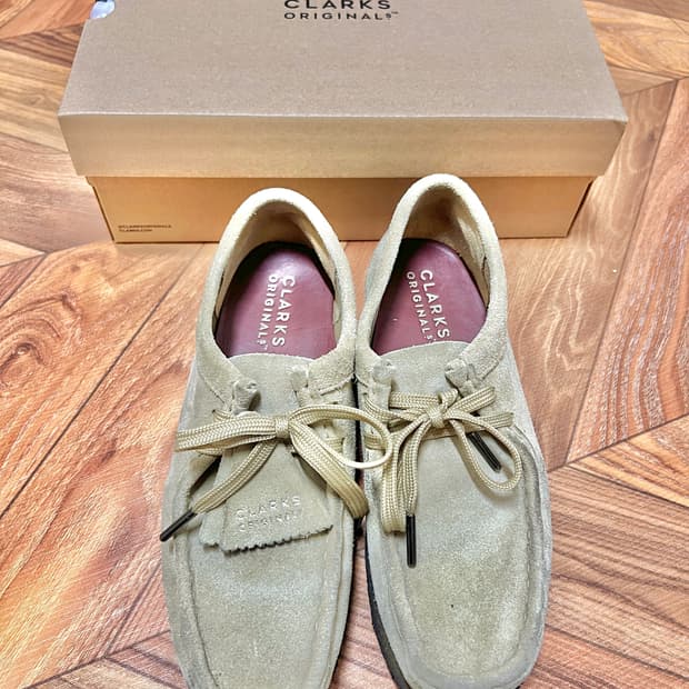 [250] 클락스 왈라비