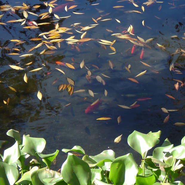 빈티지 소니 디카 dsc-t1 실버 카메라