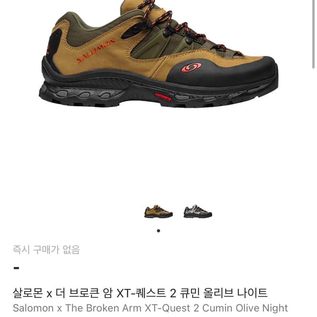 [290]살로몬 더 브로큰 암 XT-퀘스트 2 큐민 올리브 나이트