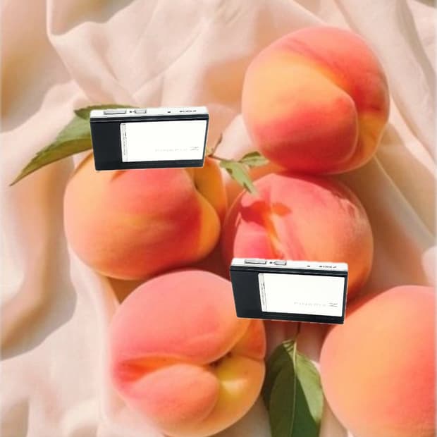 필름색감&초희귀!) FujiFilm Finepix Z100fd 디카