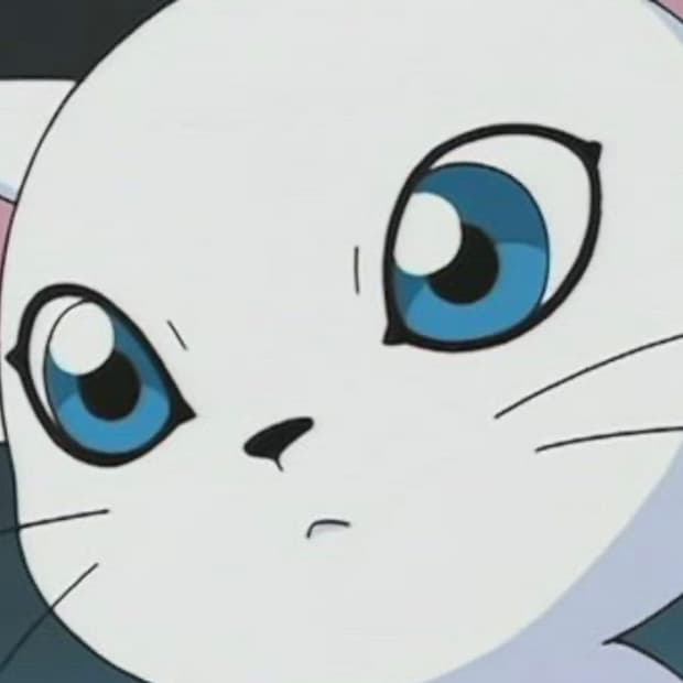 (구함) 폴리테루 스웻팬츠 2.0 네이비 1사이즈