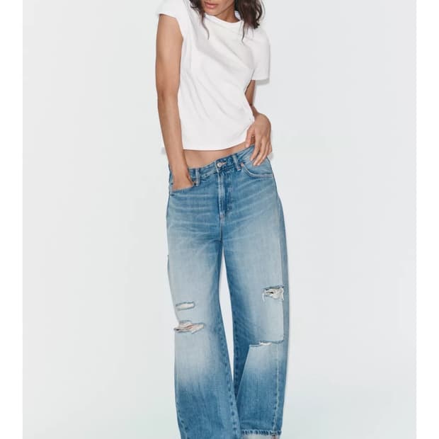 자라 디스트로이드진