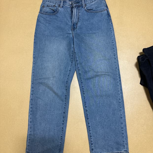 디네댓 레귤러진 M