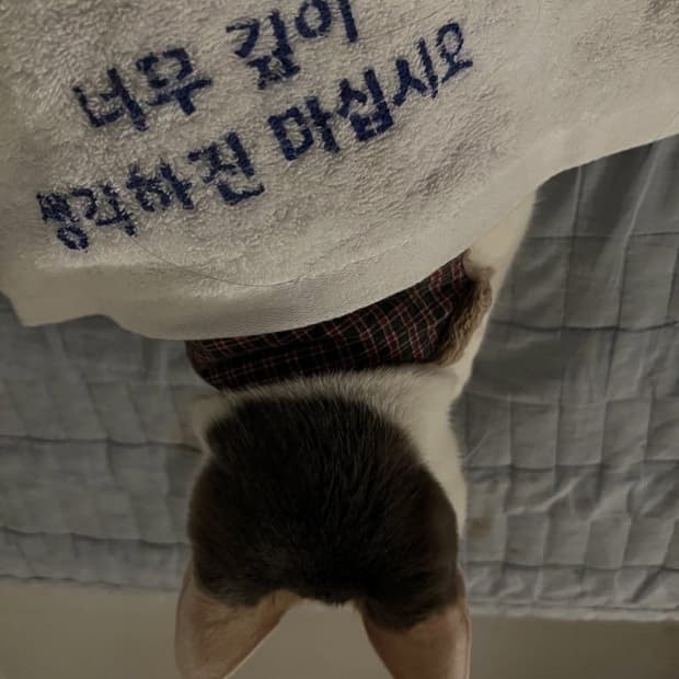 ALL ITEMS 20% SALE‼️