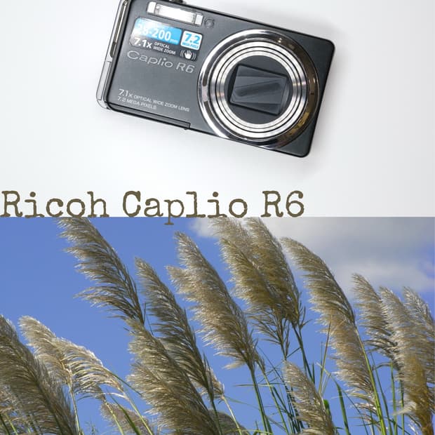 Ricoh R6
