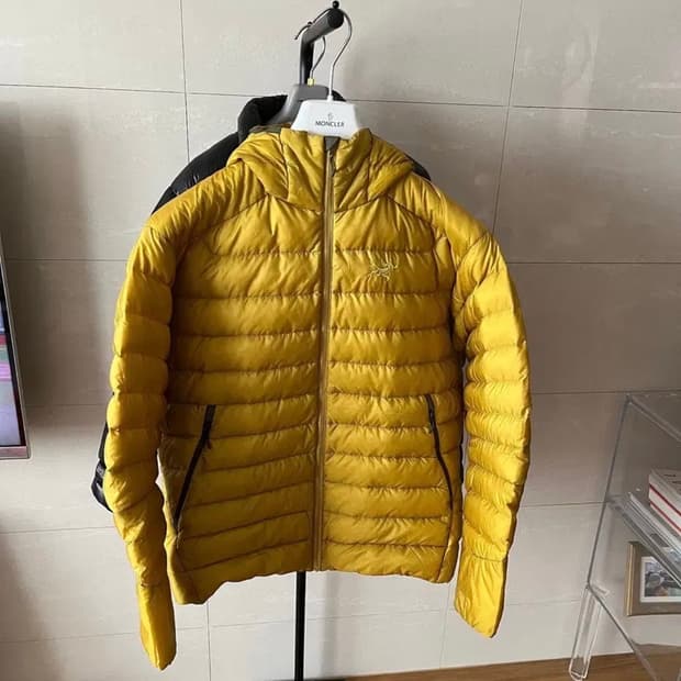 [L] 아크테릭스 세륨LT Golden palm