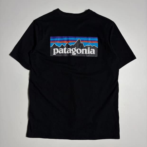 파타고니아 P-6 로고 반팔 티셔츠 R2587