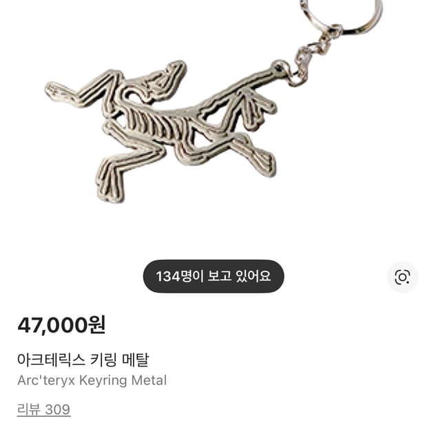 아크테릭스 키링