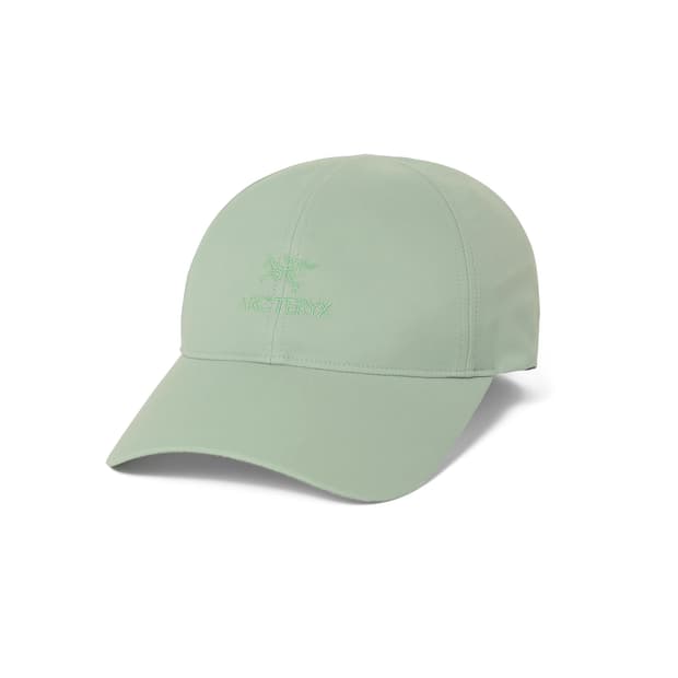 아크테릭스 버드워드 캡 스톤그린