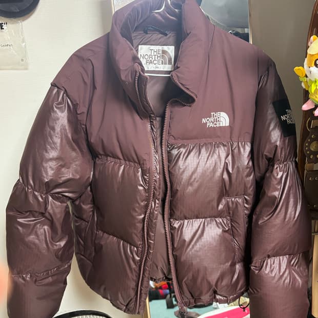 눕시 코코아브라운 L