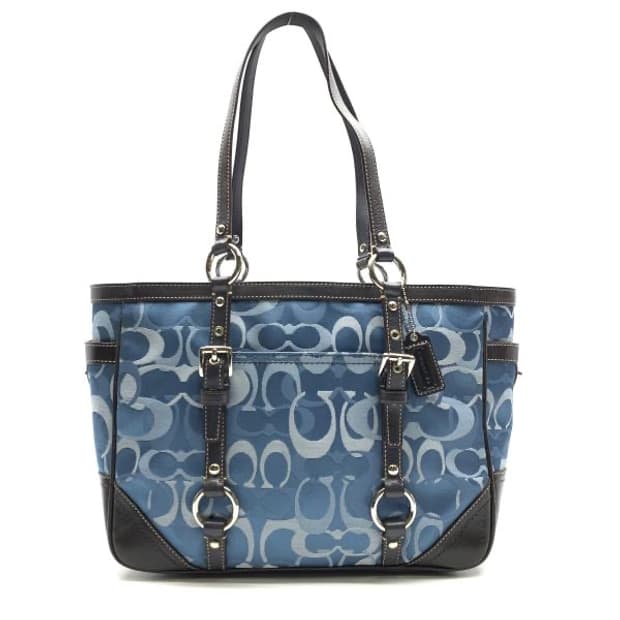 Coach 코치 블루 옵틱 시그니처 도트백