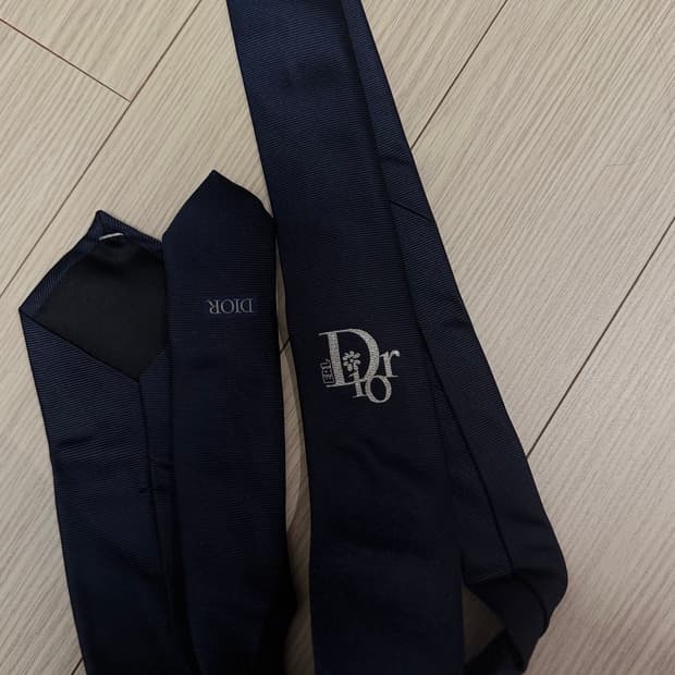 dior x erl 넥타이