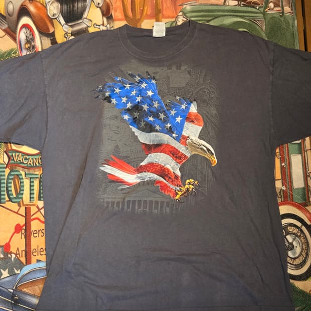 아메리칸 이글 프린팅 티셔츠