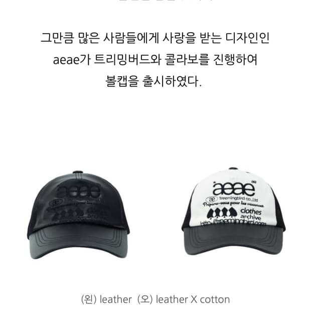 aeae & TREEMINGBIRD Web Logo Mesh Cap 코튼