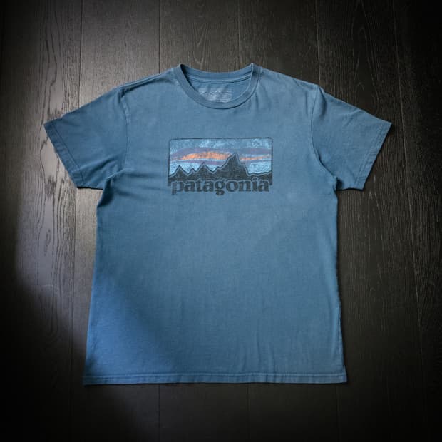 Patagonia Old Logo T-Shirt / L(100-105)