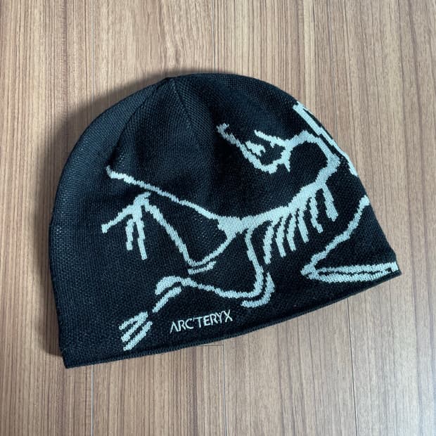 아크테릭스 버드 헤드 토크 비니