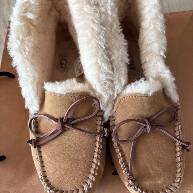 어그 알레나 230