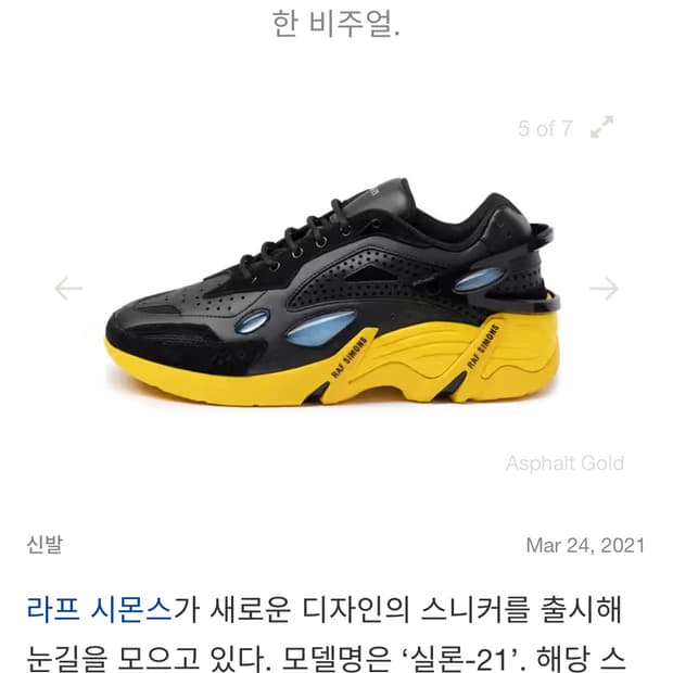 라프시몬스 실론21