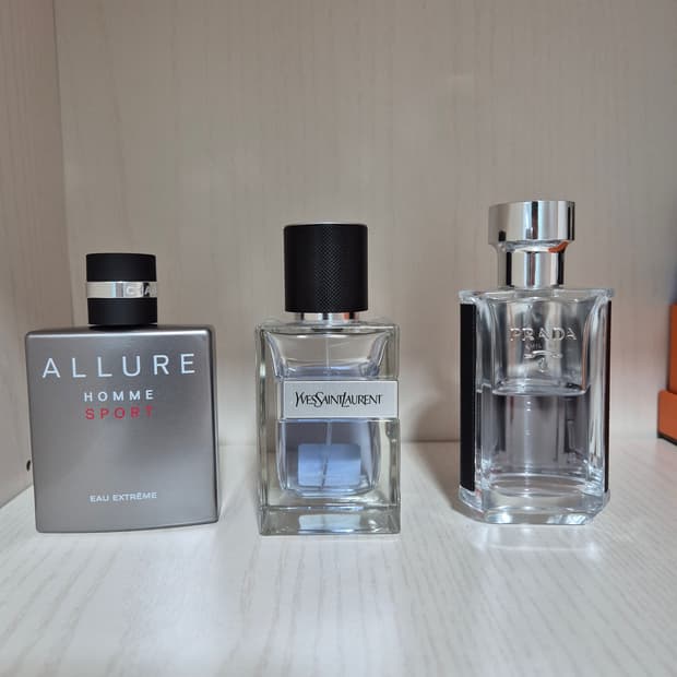 샤넬, 입생로랑, 프라다 향수 국문택