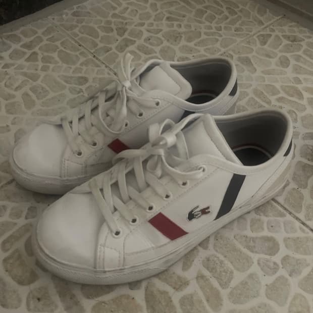 라코스테 스니커즈 230