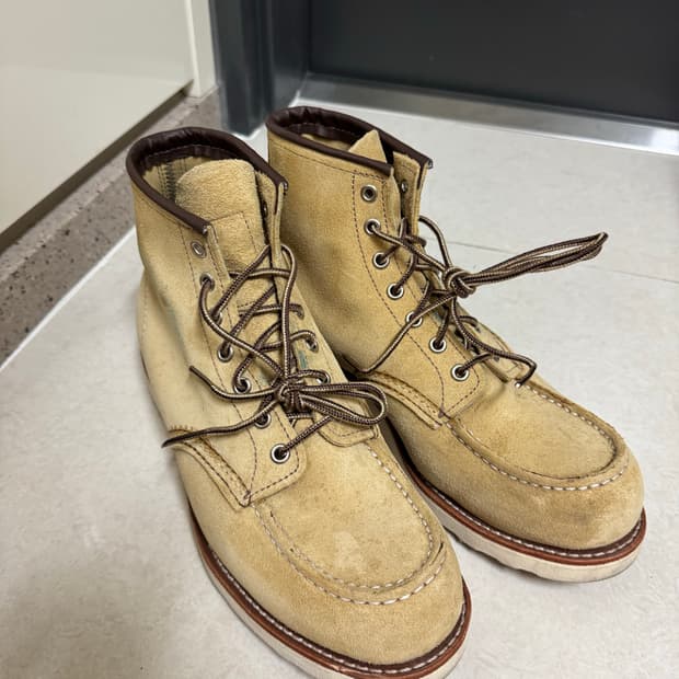 레드윙 목토 8833 280사이즈