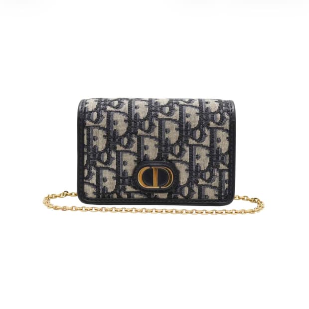 디올 30 몽테인 나노 파우치