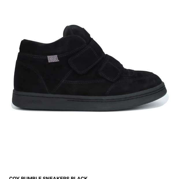 코이세이오 범블