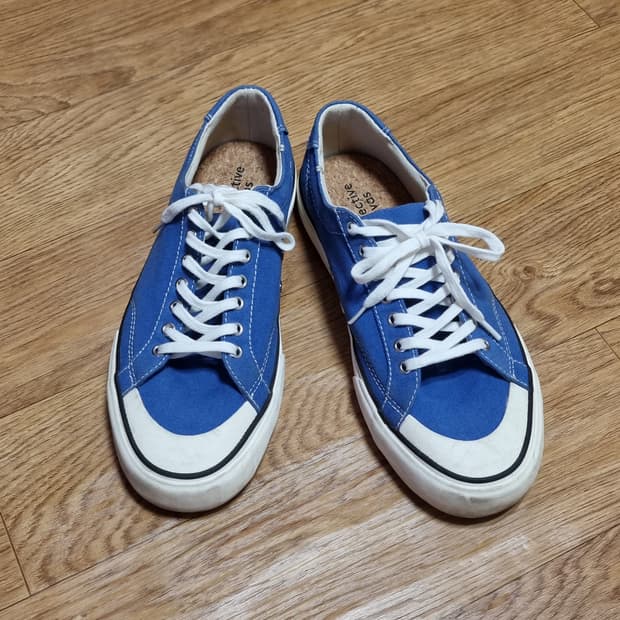 Collective Canvas 스니커즈