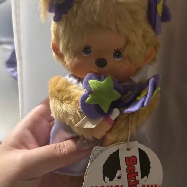 몬치치 제비꽃