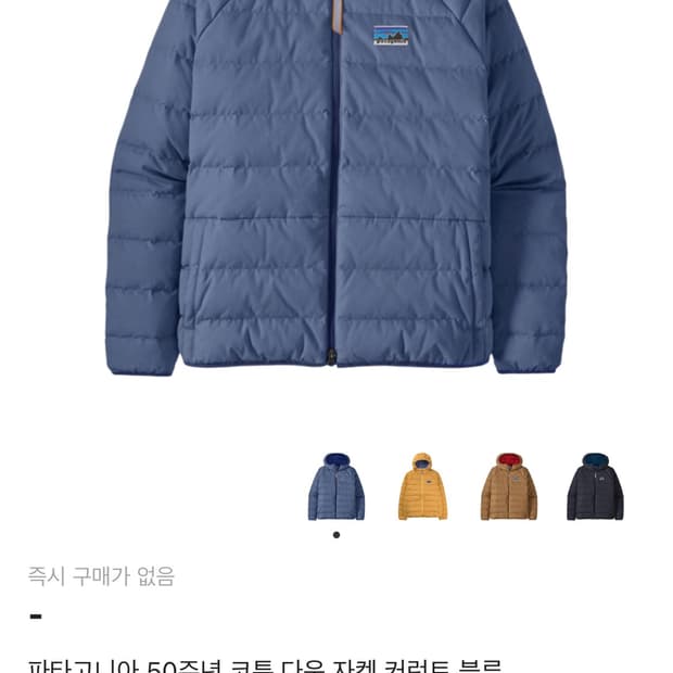 파타고니아 50주년 패딩 