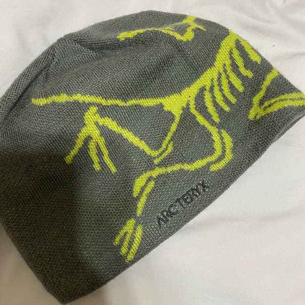 아크테릭스 비니