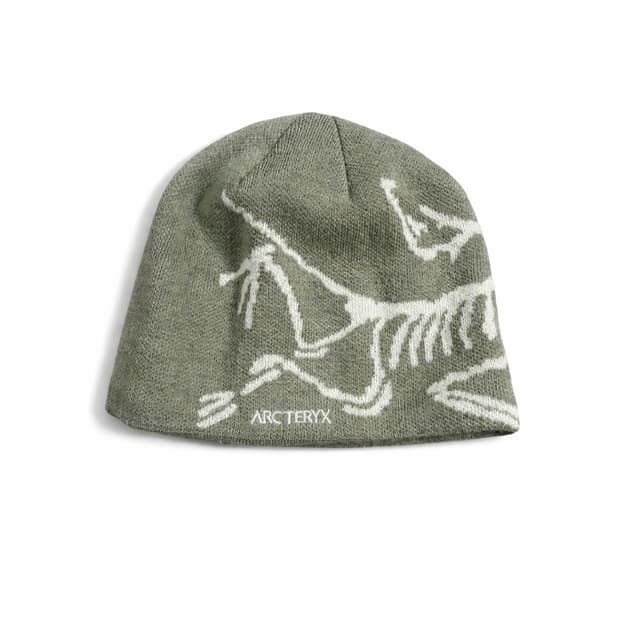 아크테릭스 버드 헤드 토크 오르카 비니 (os)