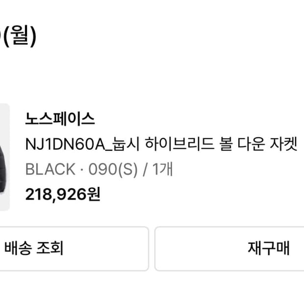 노스페이스 하이브리드 눕시 다운볼 패딩