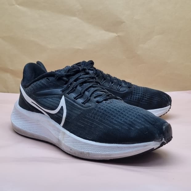 나이키 에어줌 페가수스 런닝화 250