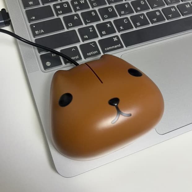 카피바라상 마우스
