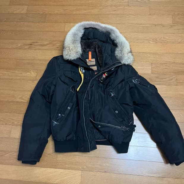 파라점퍼스 고비