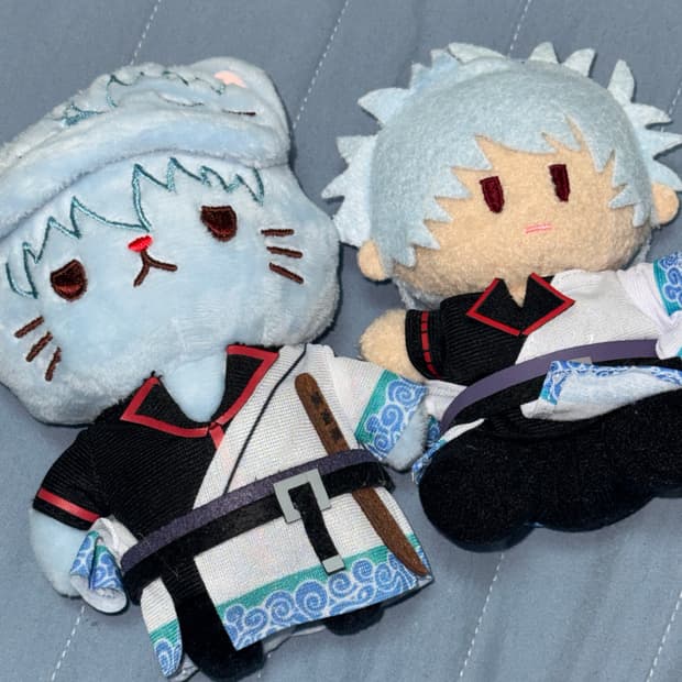 은혼 긴토키 네코누이