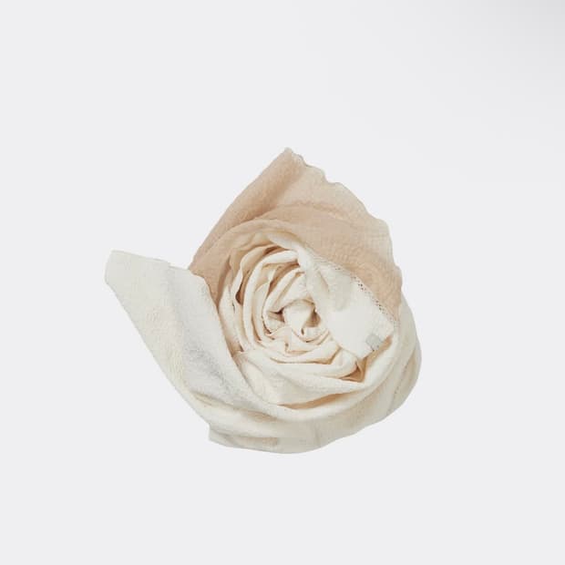 Xlim ep.2 synopsis scarf