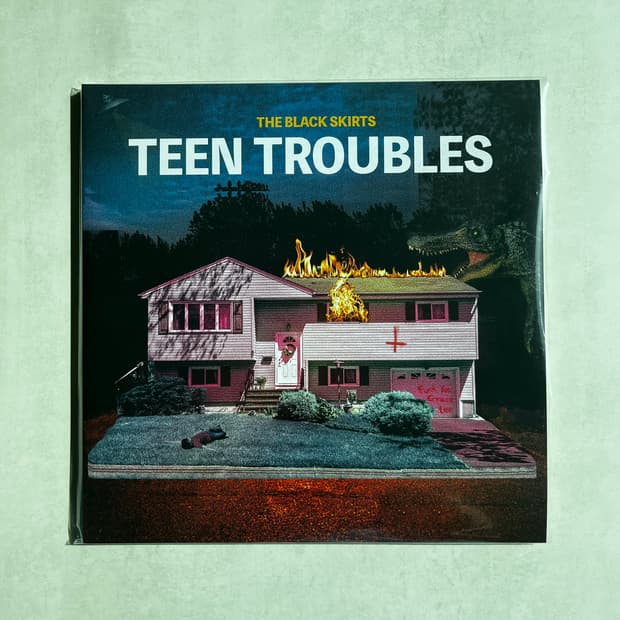 검정치마 Teen Troubles 바이닐