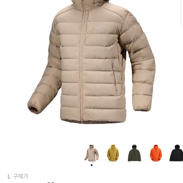 아크테릭스 토륨 스모크 블러프 / L