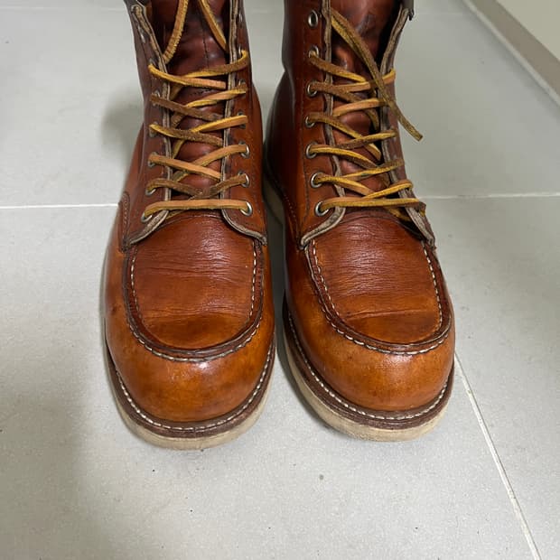 택포13) 레드윙 목토 875 7.5D 255