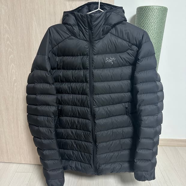 아크테릭스 세륨 25FW 후디 라지