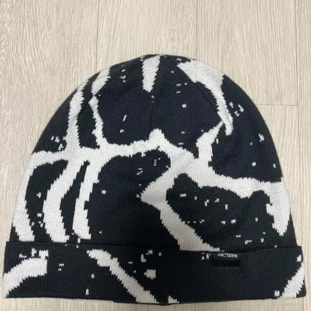 아크테릭스 비니