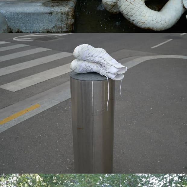 Rier Xa Jungle salomon, white