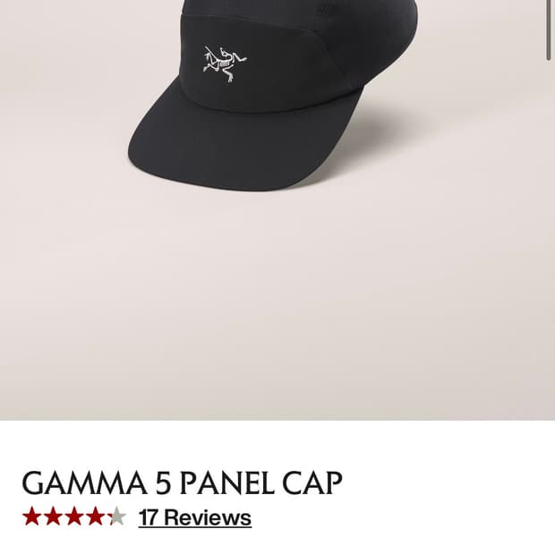 아크테릭스 감마 5 패널 캡 블랙 아크틱 실크 ( L-XL )