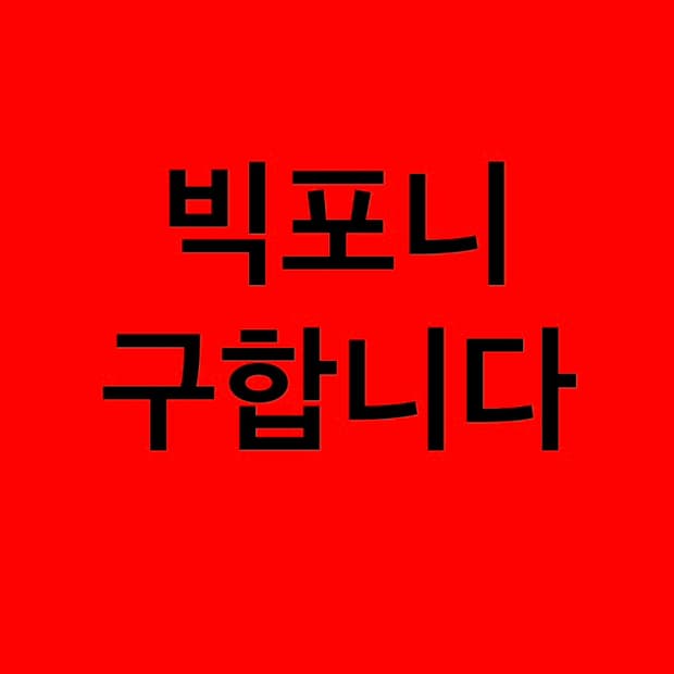 빅포니 구합니다 ㅜㅜ 