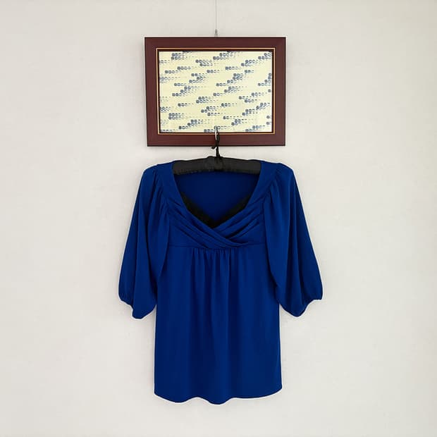 blue puff sleeve top
